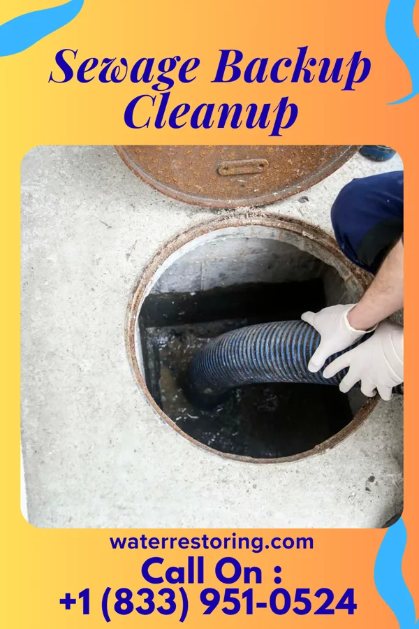Sewage Backup Cleanup in Hartford, WI