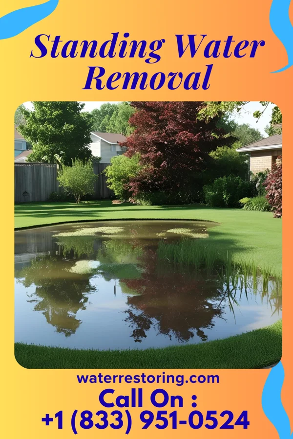 Standing Water Removal in Hartford, WI
